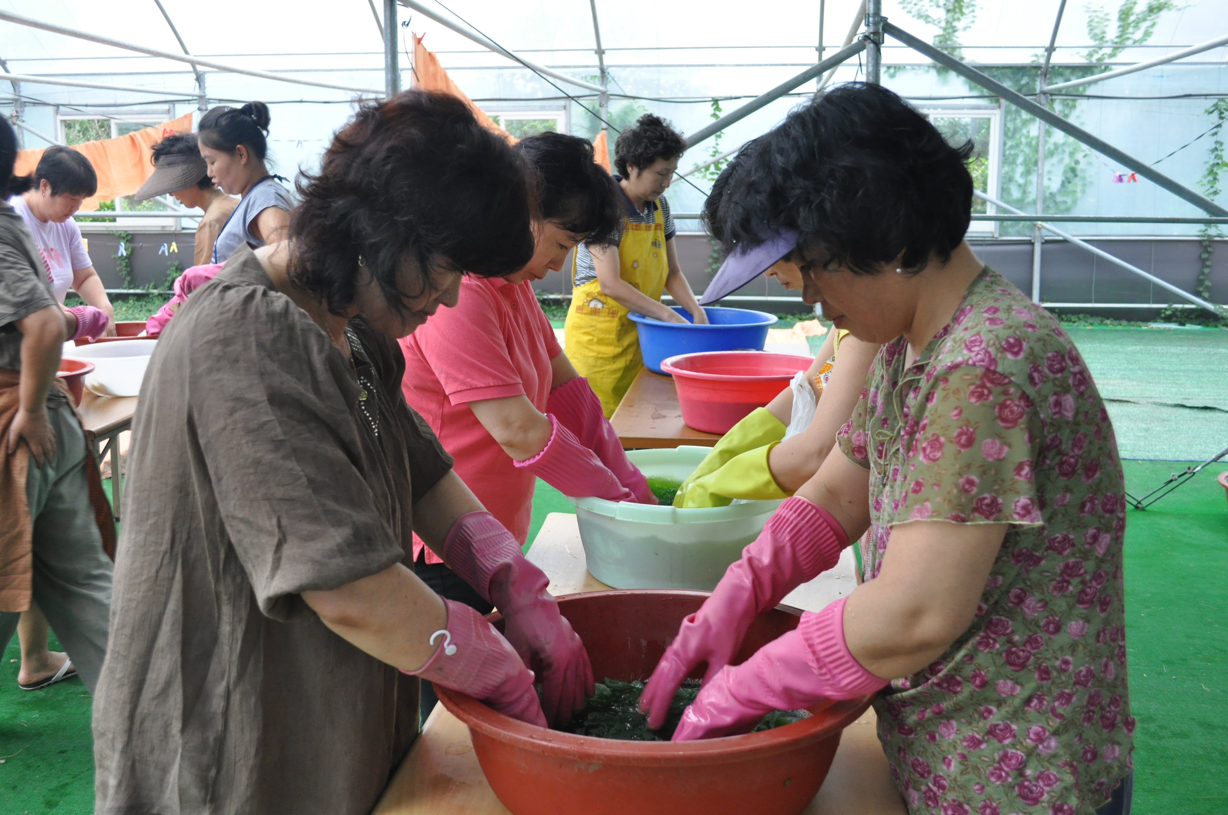 천연염색 기술교육(2회차, 생쪽염색)